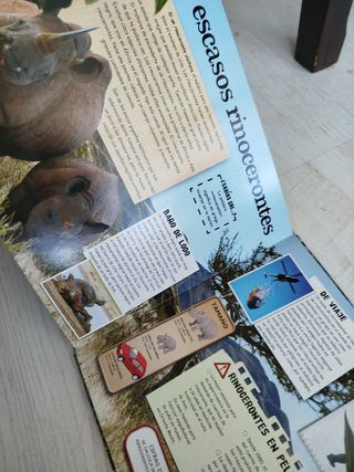 Planeta Animal: Salvemos a los animales en peli...