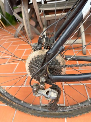 Bicicleta de Montaña New Expert