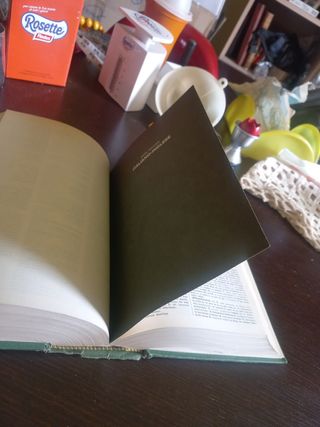 Dizionario italiano inglese