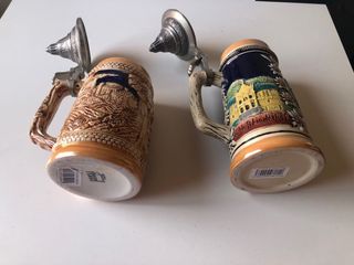 Boccali di birra tedeschi Domex