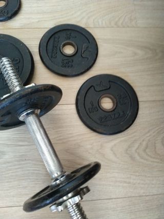 Pesa y discos de gimnasio
