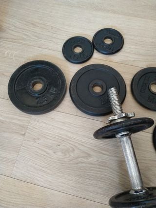 Pesa y discos de gimnasio