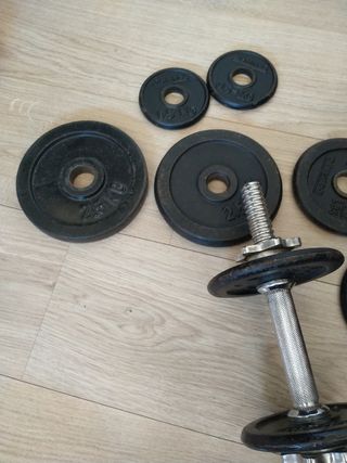 Pesa y discos de gimnasio