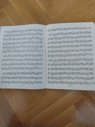 Técnica de violín Mathieu Crickboom