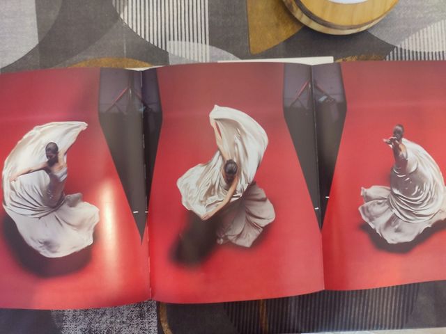 Suenos:_sara Baras (Incluye Dvd)