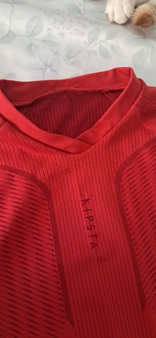 Conjunto deportivo camiseta y pantalón corto