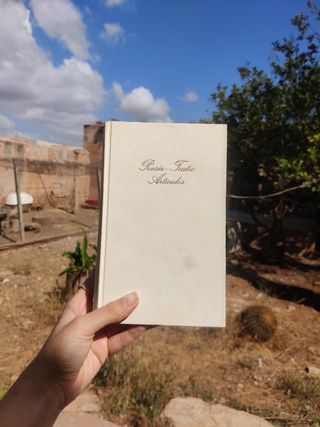 Poesía, teatro, artículos