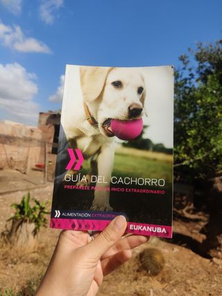 Guía del cachorro