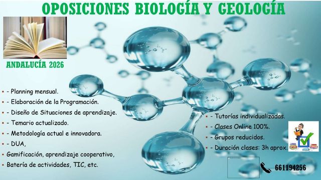 Preparador de oposiciones año 2026