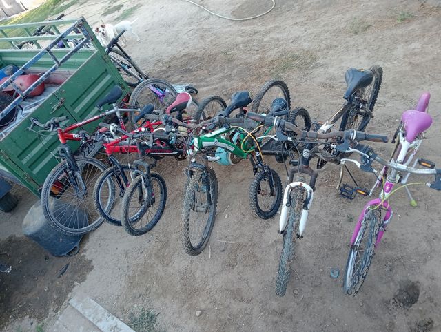 Bicicletas