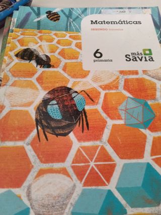 Ciencias Sociales 6.