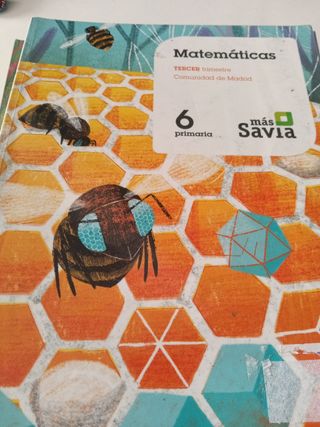 Ciencias Sociales 6.