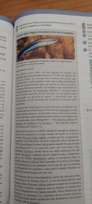 Lengua Castellana y Literatura 3º ESO. Libro de...