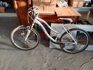 Bicicleta de mujer plateada