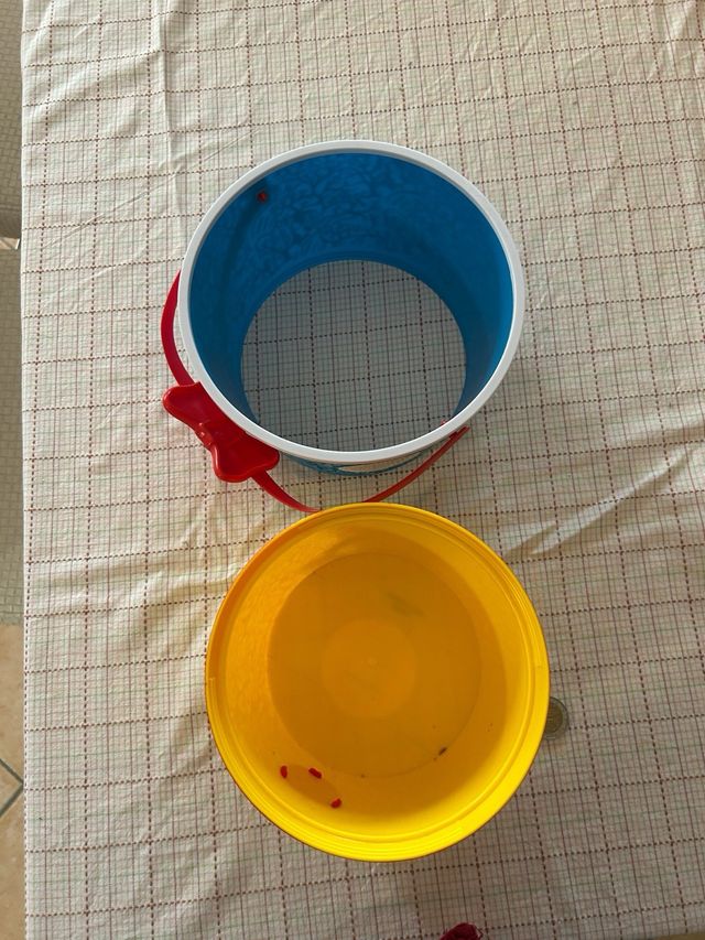 Secchiello Biancaneve Disney Limited Edition