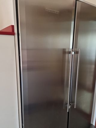 Cajones Congelador Liebherr SGNes 3010 + Cristales