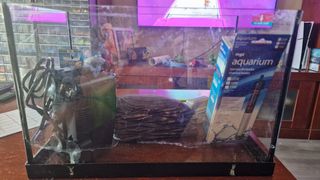 Pecera de cristal 30 litros