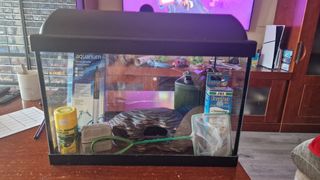 Pecera de cristal 30 litros