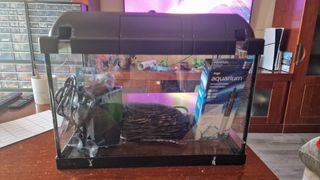 Pecera de cristal 30 litros