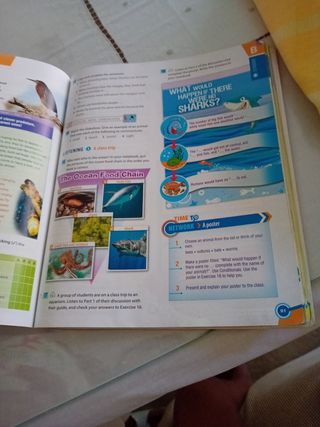 Network 4eso St Andalucia 21