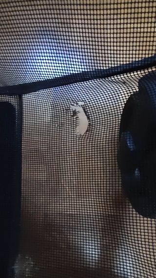 Carro de bebé 2 piezas rosa