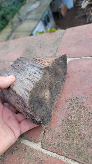 Decorazione montana per terrari e acquari