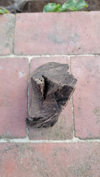 Decorazione montana per terrari e acquari