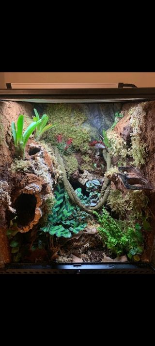 Decorazione montana per terrari e acquari