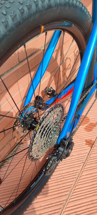 BH Ultimate RC 29" 7.5 2020 Carbono XL