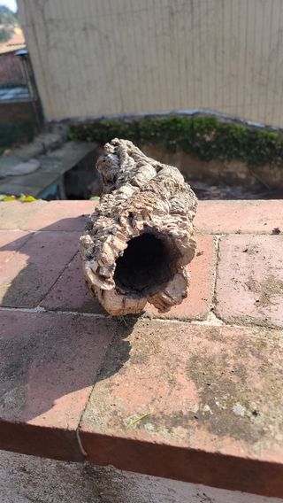 Nascondi terrari/acquari in sughero