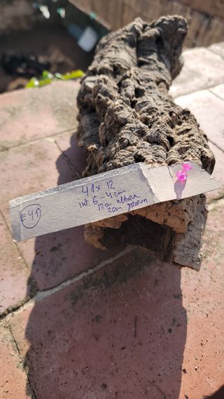 Nascondi terrari/acquari in sughero