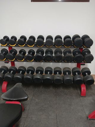 Mancuernas de gimnasio con mancuernero