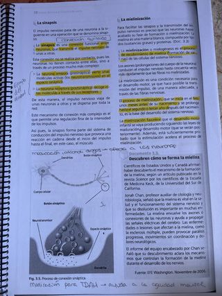 Libro Desarrollo Cognitivo y Motor CFGS Educación