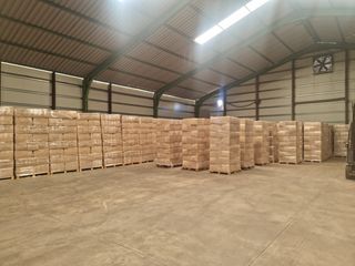 Viruta seca para animales