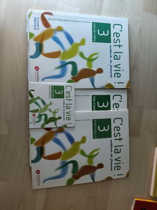 Libro para estudiar francés nivel B1