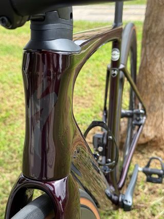 Specialized Tarmac SL7 talla 54