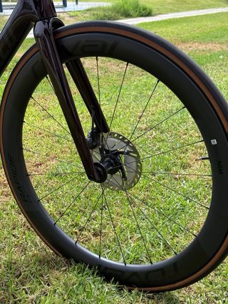 Specialized Tarmac SL7 talla 54