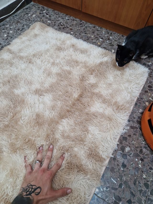 Alfombra beige suave