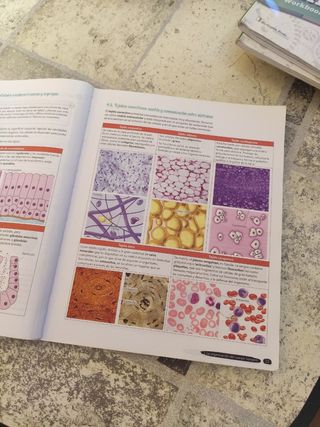 Libro Biología y Geología 3º ESO.
