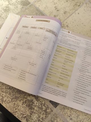  Geografía e Historia 3 ESO