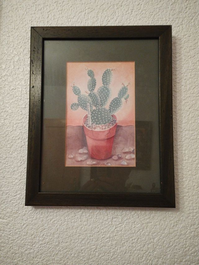  Cuadro pintada de cactus con marco y cristal 