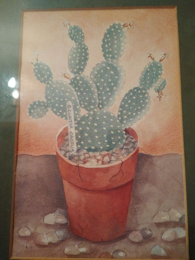  Cuadro pintada de cactus con marco y cristal 