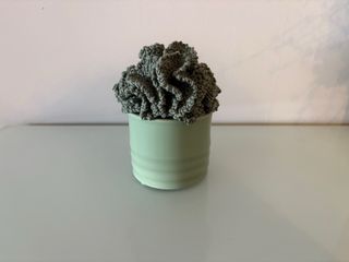 Cactus decorativo de crochet