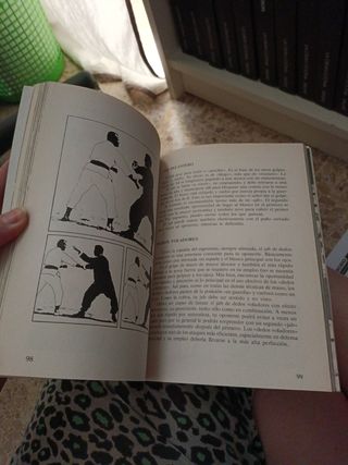 El libro de oro de Bruce Lee