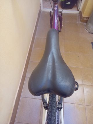 Bicicleta de montaña para mujer