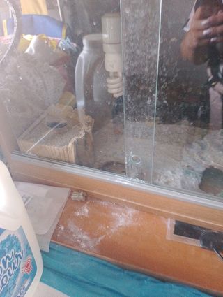 Terrario per rettili o piccoli animali