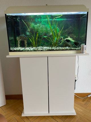 Acuario 90L con múltiples accesorios.