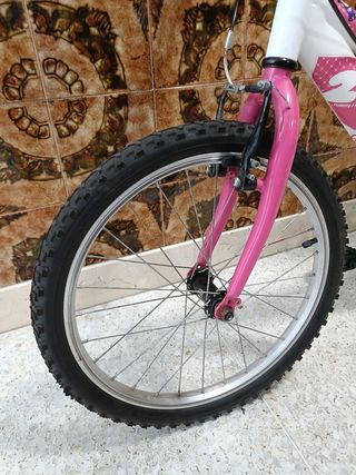 Bicicleta infantil 20 DENBIKE