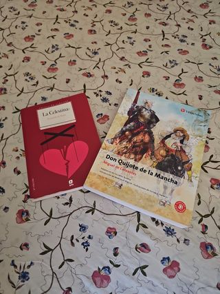 Don Quijote de La Mancha, ESO. Material auxilia...