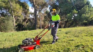 Servicios de jardinería económicos